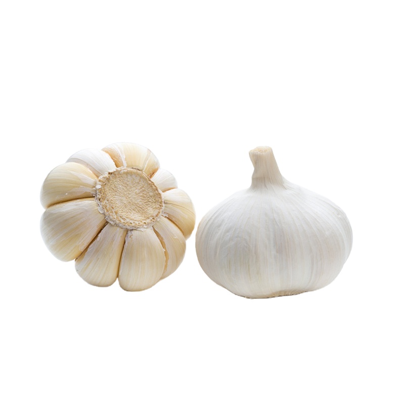 Wholesale 2021 Fresh Dry White Garlic From China Garlic Manufacturers 2 buyers