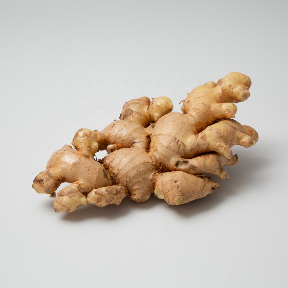 new arrival fresh ginger and air dried ginger 2021 crop supply from Shan dong Sinofarm supplier