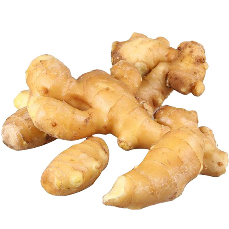 new arrival fresh ginger and air dried ginger 2021 crop supply from Shan dong Sinofarm supplier