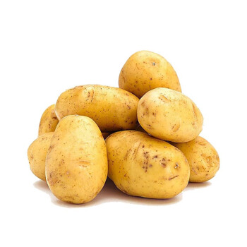 Hochwertige frische Kartoffeln in großen Mengen zu einem niedrigen Preis
