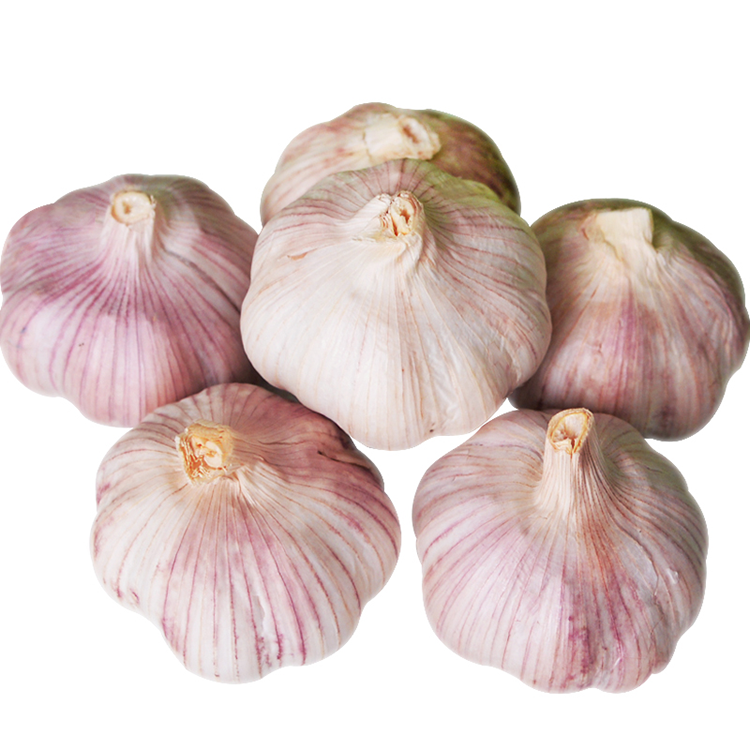 2021 China/Chinese Best Wholesale Garlic Price Normal White Pure White Fresh Export Garlic