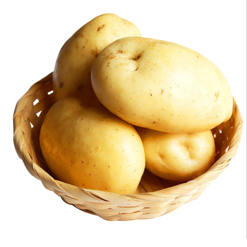 Dalja e fabrikës me cilësi të lartë në patate të freskëta me shumicë me certifikim ndërkombëtar