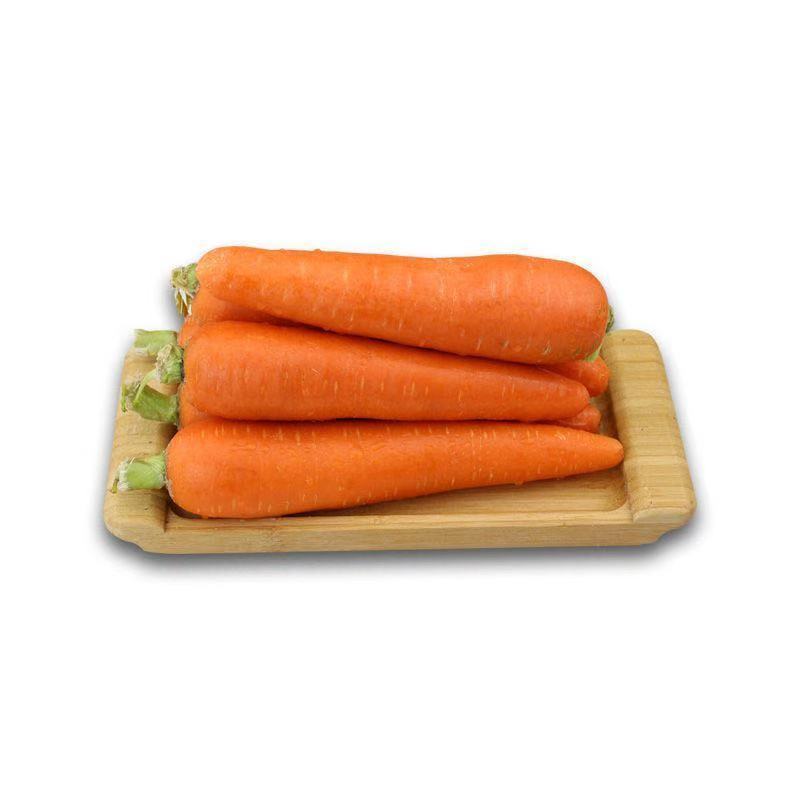 Wholesale price seasonal fresh farmhouse quality carrots a ton of fresh carrots