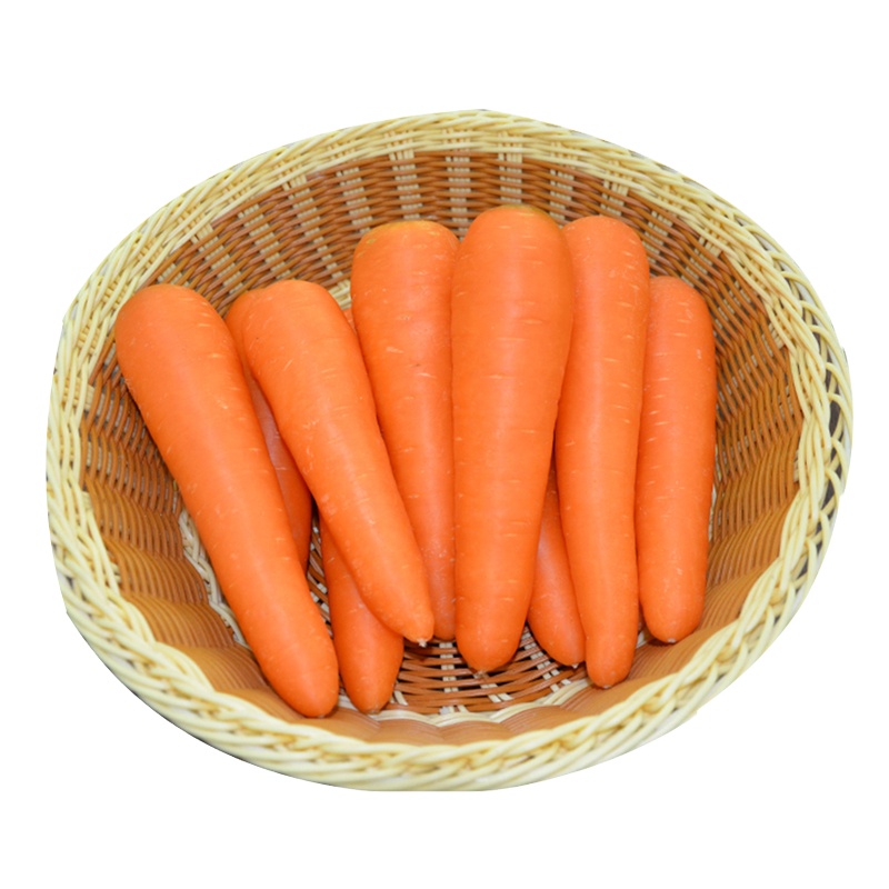 2021 Best Quality Fresh Carrot / New Harvest Carrot From Thailand