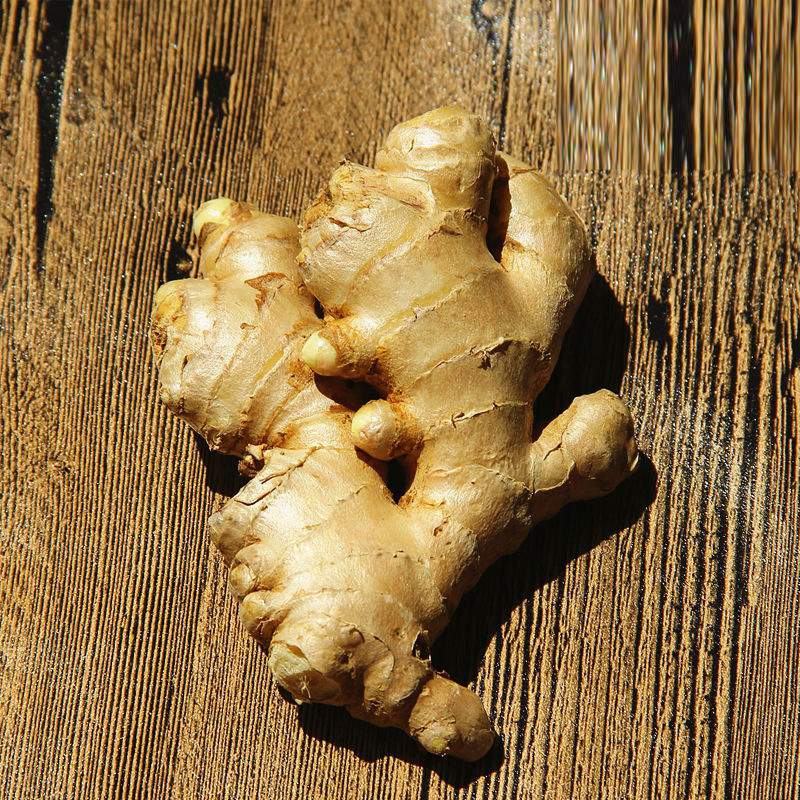 Fresh Ginger Exporter For Ginger Buyer Importers Of Ginger