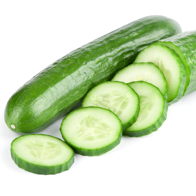 Fresh Vegetables Green Cucumber from India ready for export