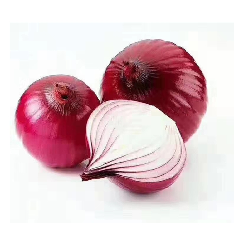 2021 bagong corp red onion hot selling fresh Peeled red onion from China