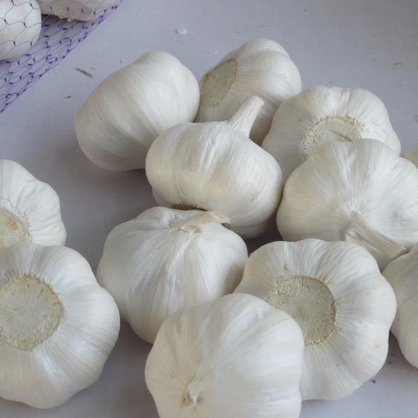 2021 China/Chinese Best Wholesale Fresh Garlic Price -new crop, high quality for export
