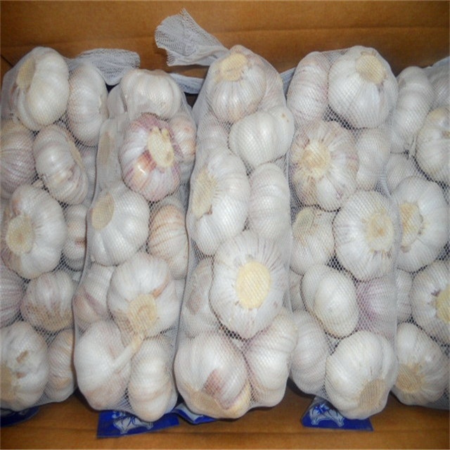 high guality Chinese garlic bulbs garlic for sale