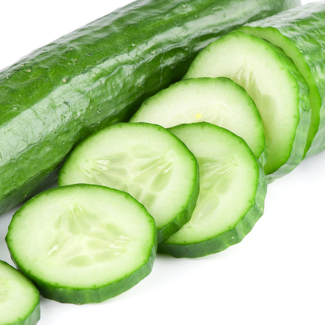 Healthy Cucumber from India ready for Export