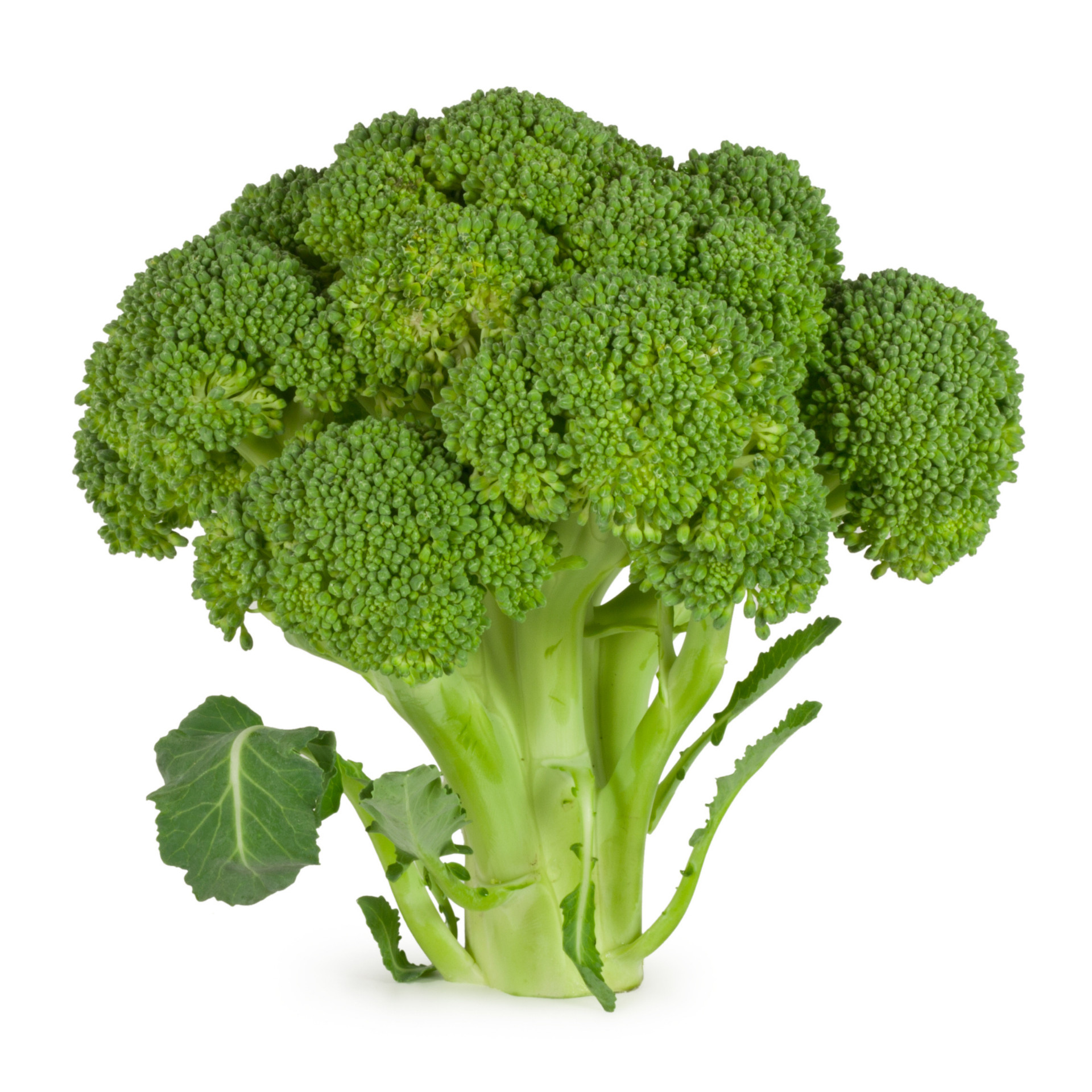Dijual Brokoli Segar Harga dan Kualitas Terbaik, Selada Gunung Es Siap Ekspor