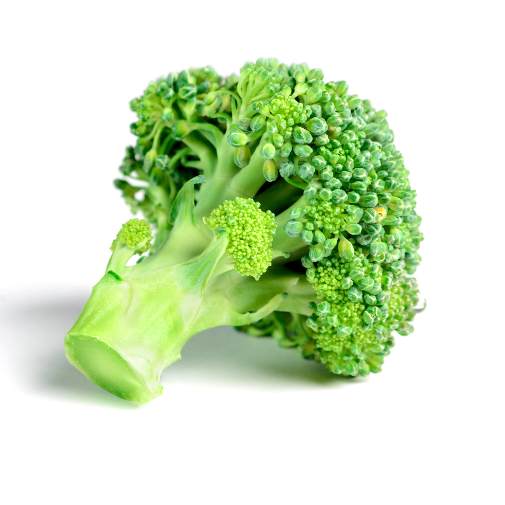 Färsk broccoli till salu bästa pris och kvalitet, isbergssallad Redo att exportera