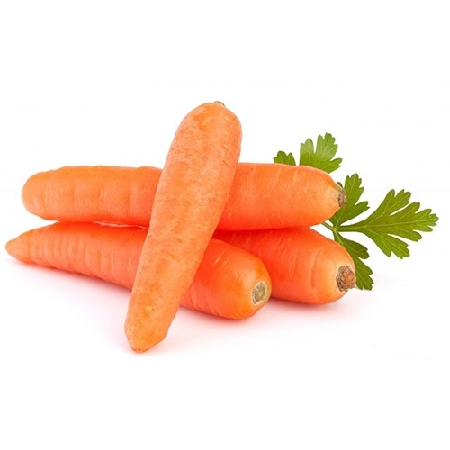Hot Sales Vietnam Carrot With Best Price High Quality Safety For Health