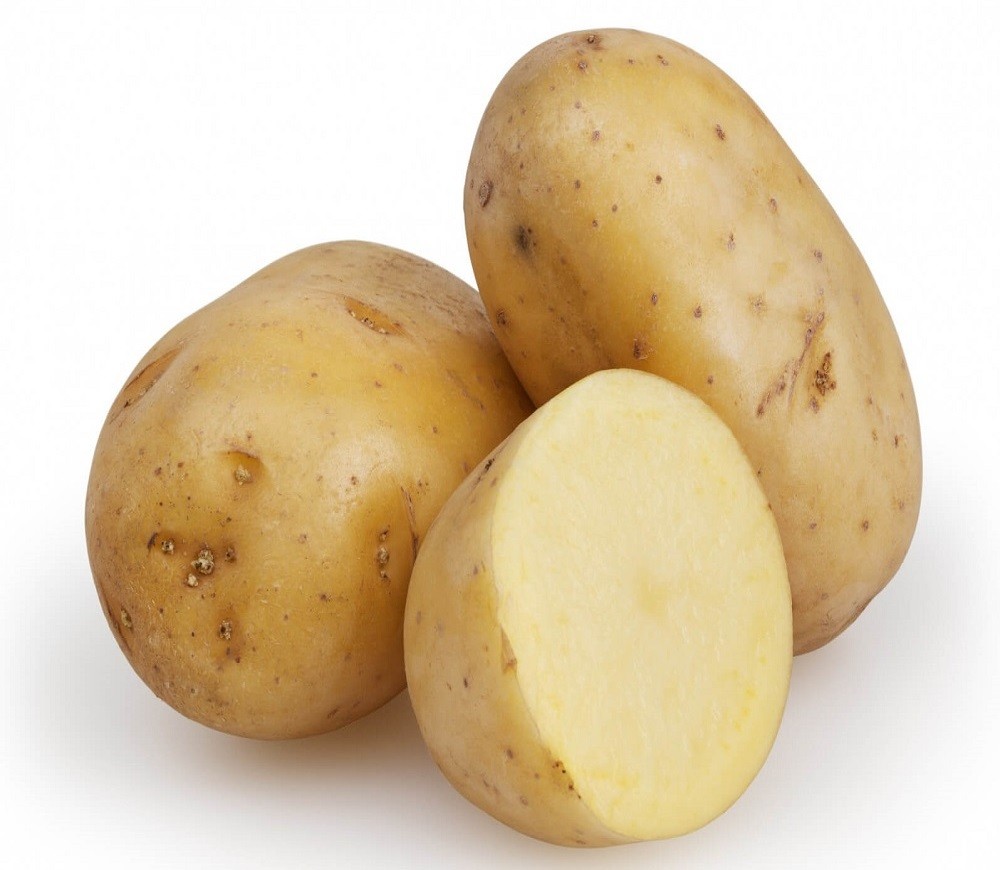 Pommes de terre fraîches 100 % biologiques de haute qualité en provenance du Bangladesh