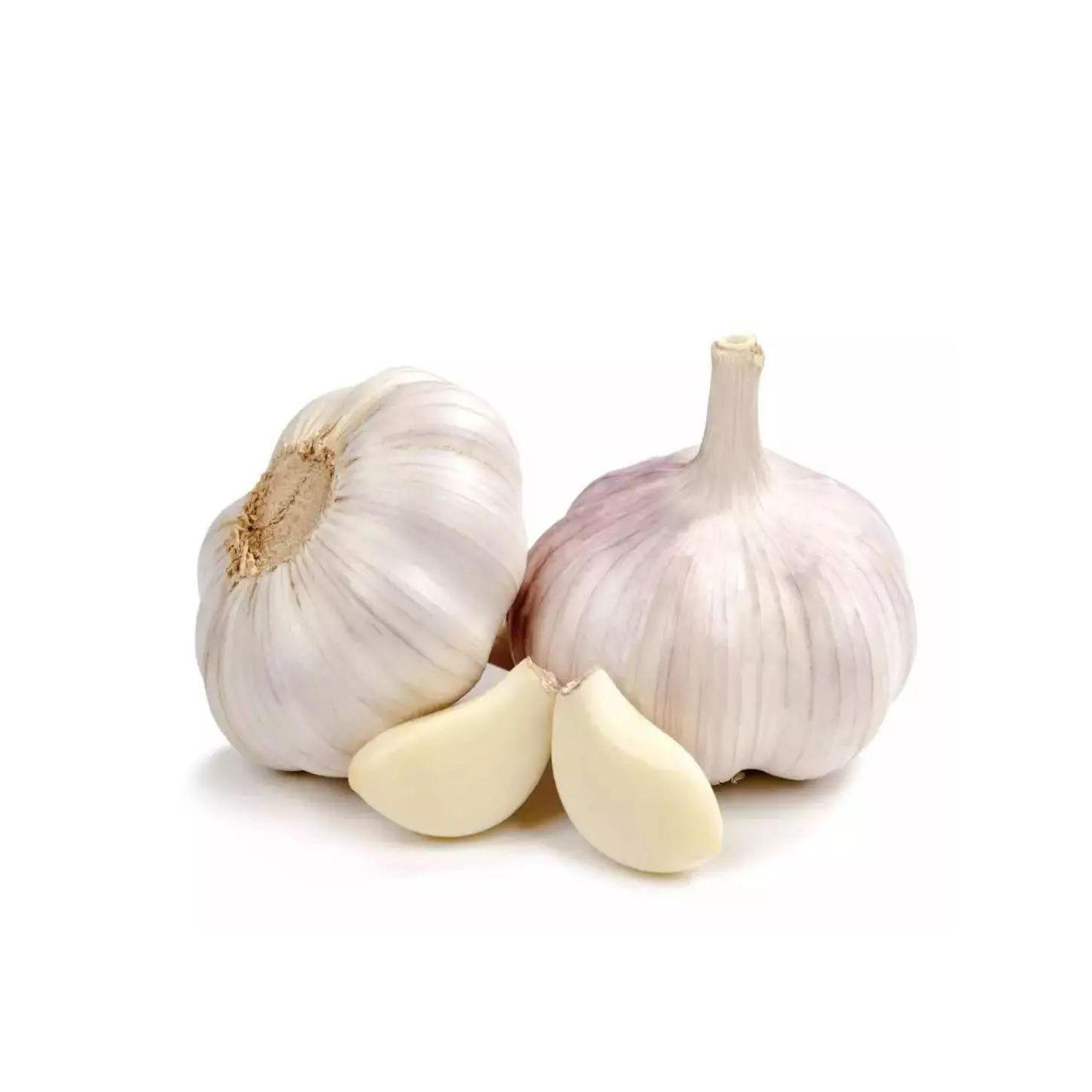 China cheap garlic Chinese normal white garlic fresh garlic price