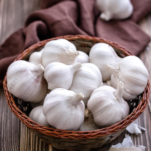 Cheap Price chinese Pure white fresh garlic