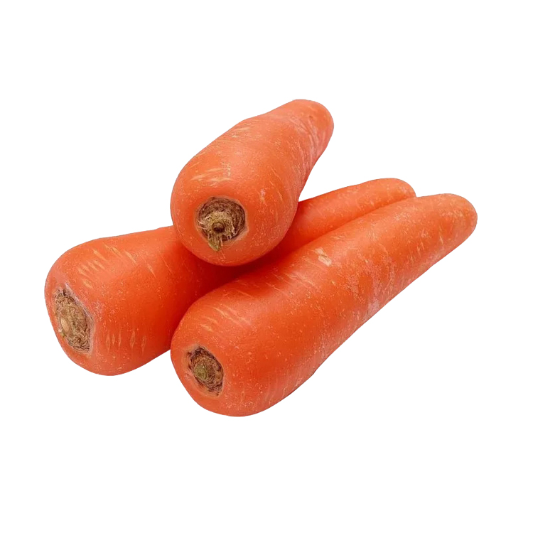 Wholesale Box Style Storage Packaging Fresh Vegetables Carrot Fresh Carrots Carrot Fresh