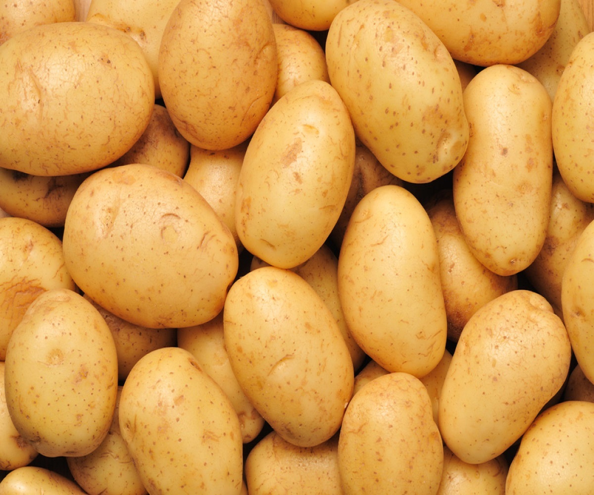 Premium Quality Bangladeshi Organic Fresh Potato in a Wholesale Price