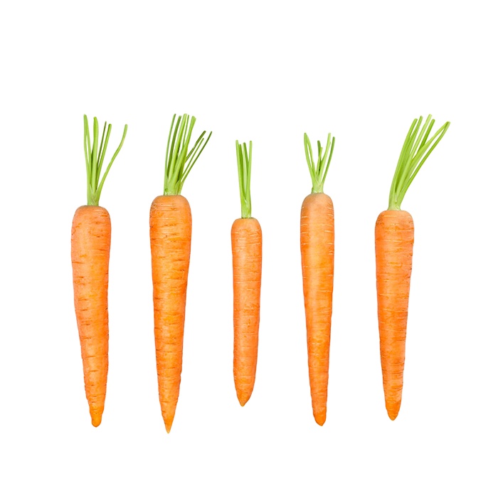 Karot nga presko nga organic carrots pinakabag-o nga tanom sa karton SML propesyonal nga export lab-as nga carrot