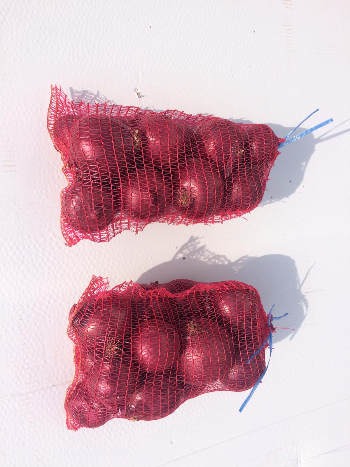 Frische rote Putenzwiebeln, 50 mm große, frische rote türkische Zwiebeln