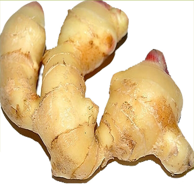 Presyo sa Pag-eksport sa China 1kg China Mature Fresh Ginger