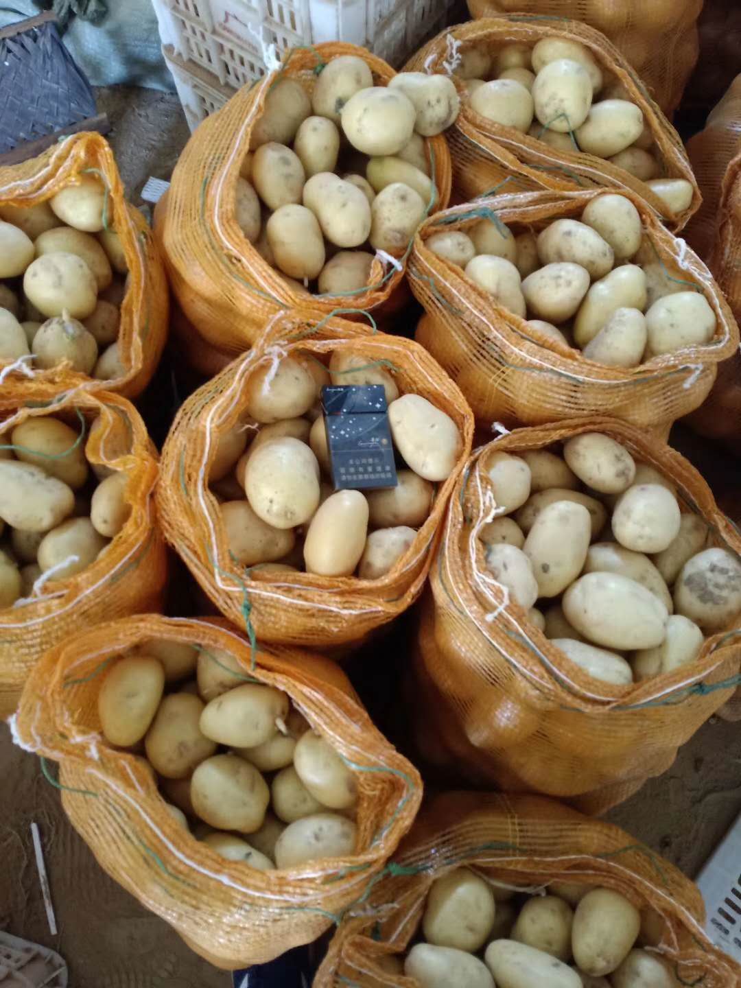 Priljubljena zelenjava, svež krompir, izvoz svežega sladkega krompirja po ugodni ceni