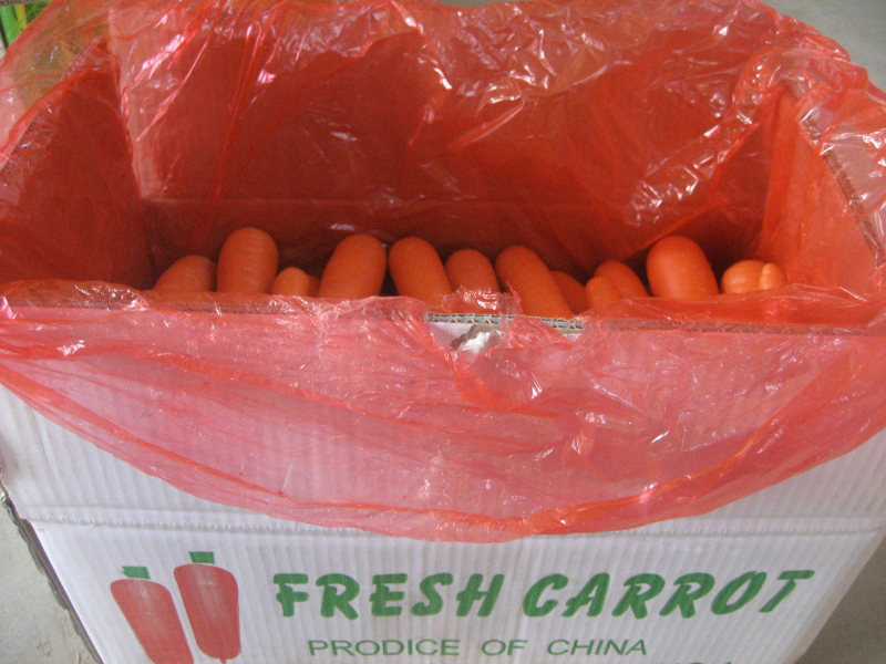 2021 new crop fresh Chinese carrot/carrots full of vitamin c carrot from China 1 buyer