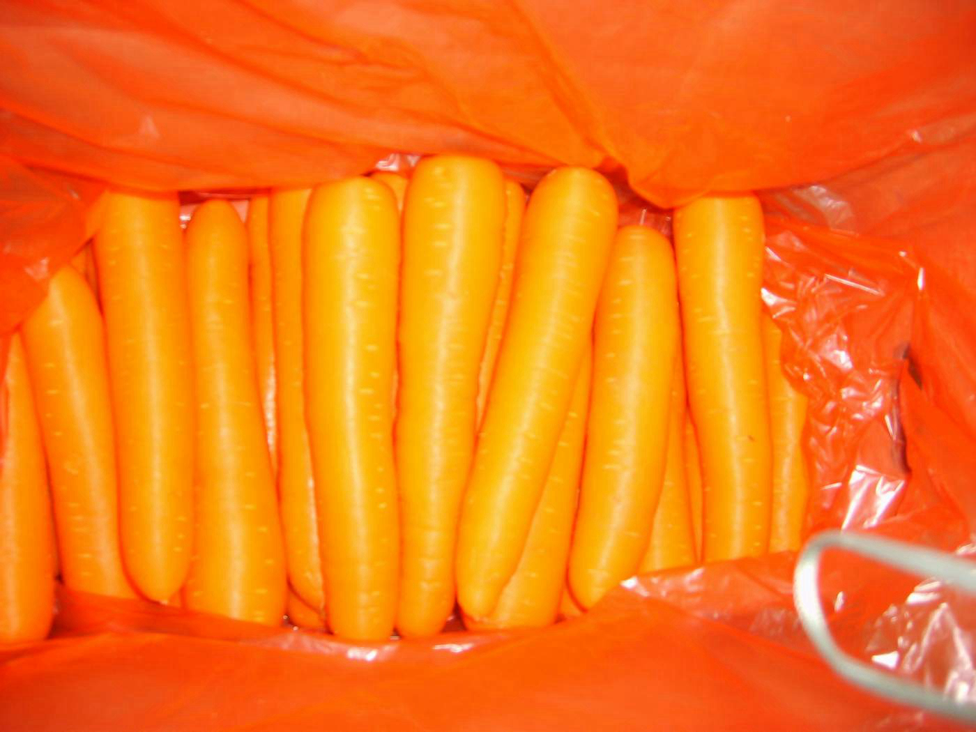2021 bagong pananim na sariwang Chinese carrot/carrot na puno ng bitamina c carrot mula sa China 1 mamimili