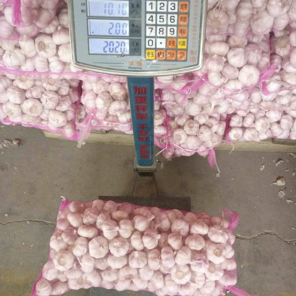 New Crop Factory Supplier Normal White At Pure White Garlic para sa Indonesia, Malaysia, Thailand fr...