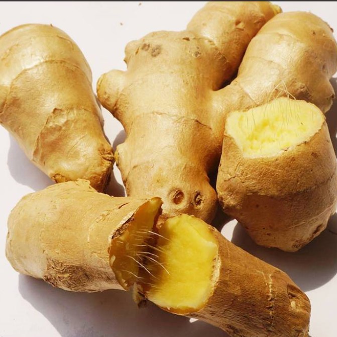 2021 good quality new fresh dried ginger