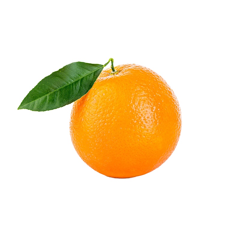 Fresh orange fruit for wholesale