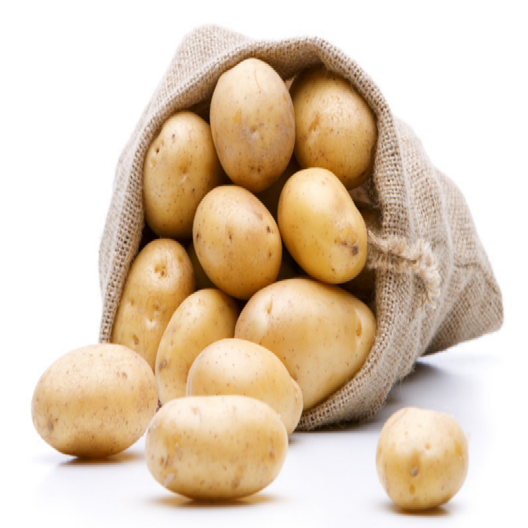 Prix ​​de gros de pommes de terre d'exportation de légumes frais populaires