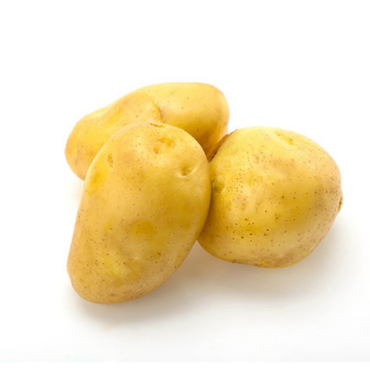 Preço de atacado de batata de exportação de batata fresca vegetal popular