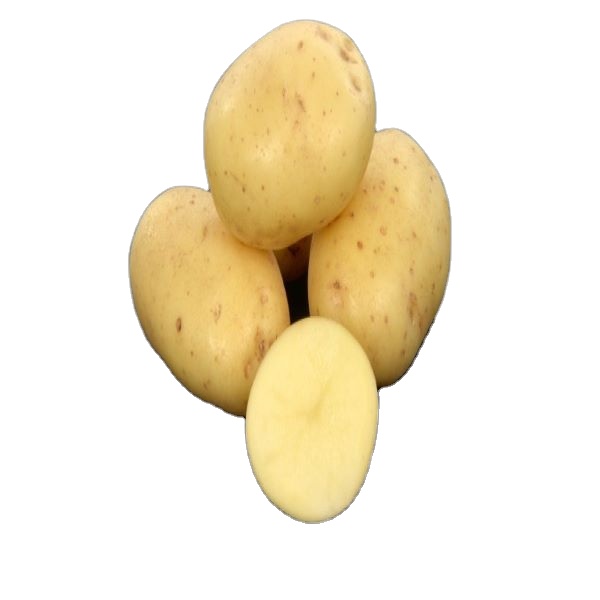 2021 Novas batatas cultivadas de melhor qualidade com casca amarela fresca