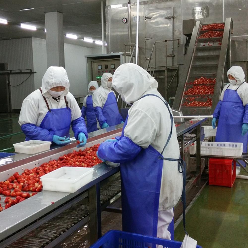 Korea Freeze Fresh Strawberry
