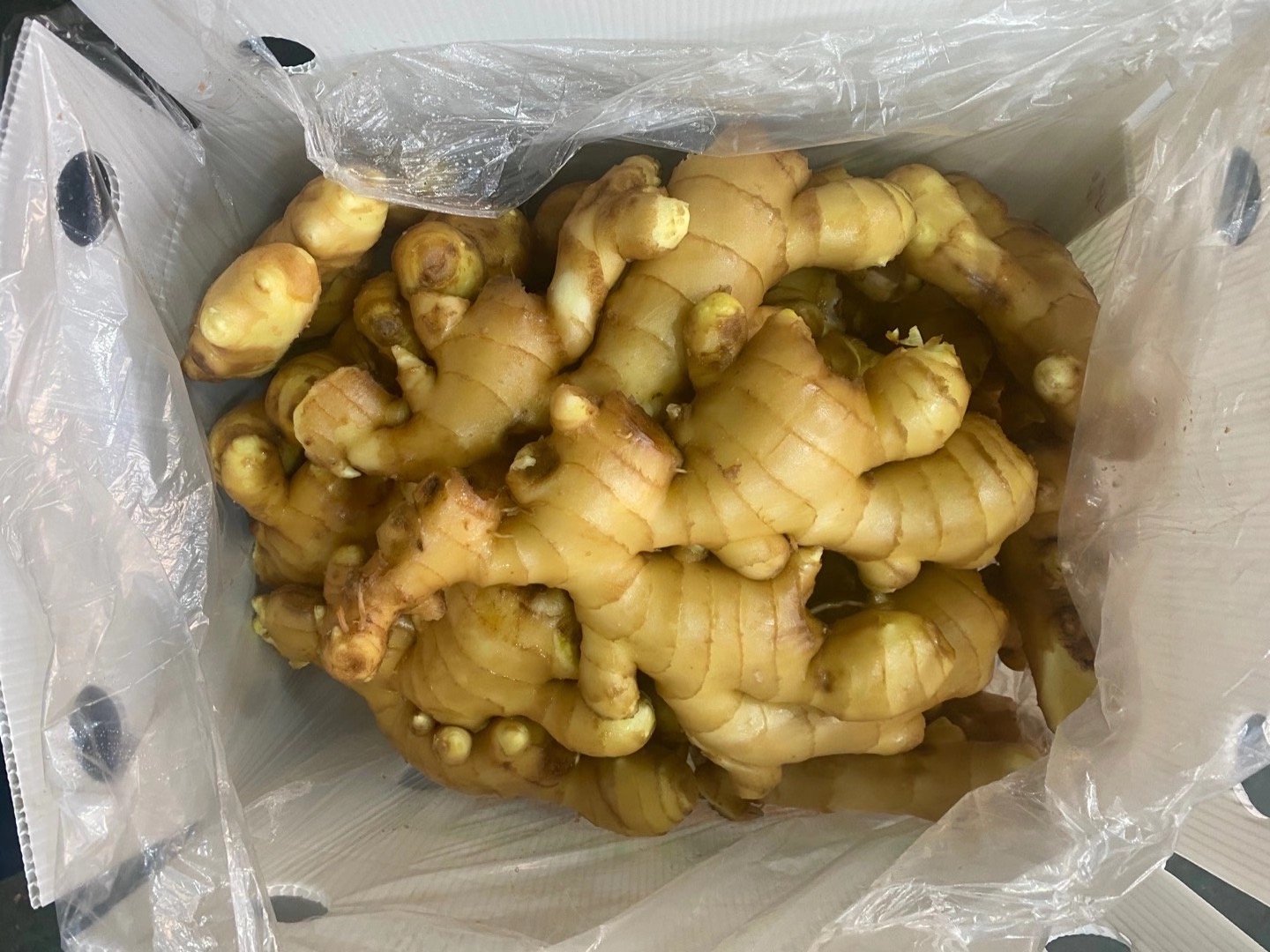 Fresh China Ginger Air Dried Ginger Wholesale with GLOBAL GAP Color Shelf