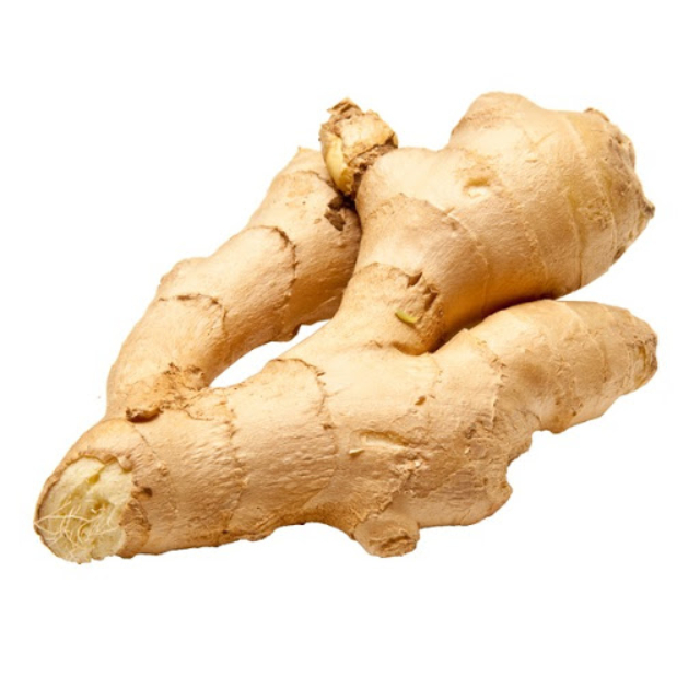 For Sell At Cheap Price Fresh Ginger