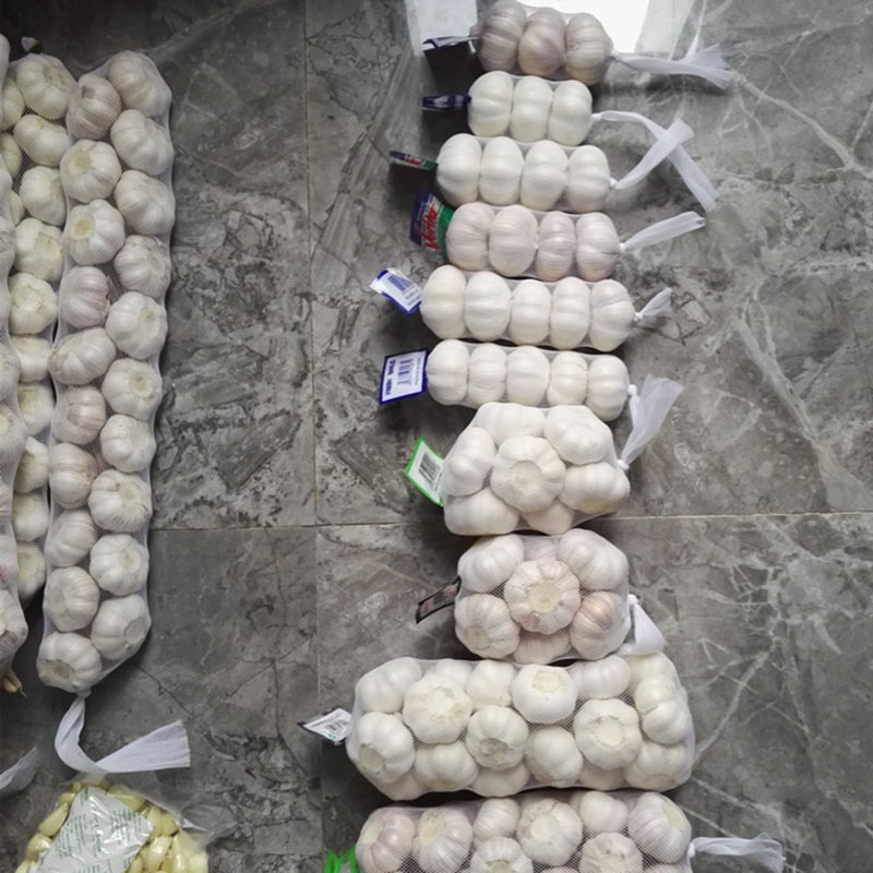 10 kg'lık örgü torbada Çin Normal Beyaz Taze Sarımsak