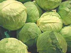 fresh cabbage exporter sa china
