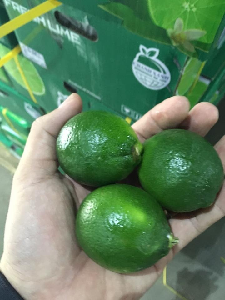 Green Sour Lime Fresh Citrus Fruit/ Fresh Lemon Seedless 