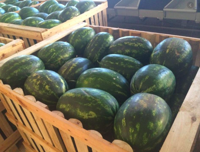High quality affordable price fresh fruit sweet watermelon for sale