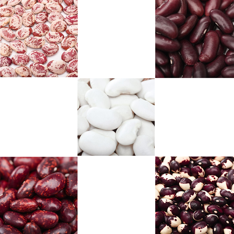 Wholesale High Quality Packing Organic Green Mung Bean Red Black soy Beans