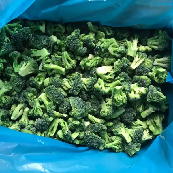 high quality frozen broccoli IQF broccoli wholesale