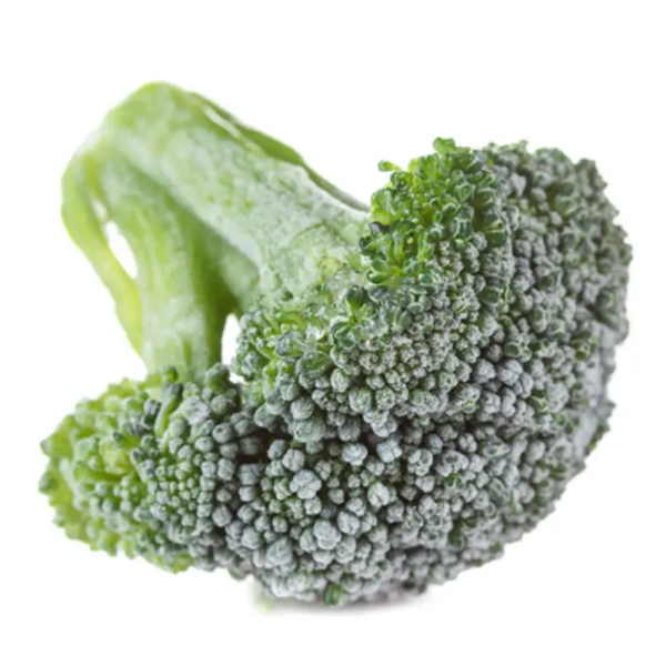 high quality frozen broccoli IQF broccoli wholesale
