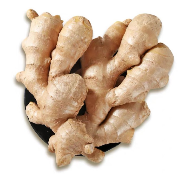 High quality ginger air dried ginger in low price Chinese ginger for export