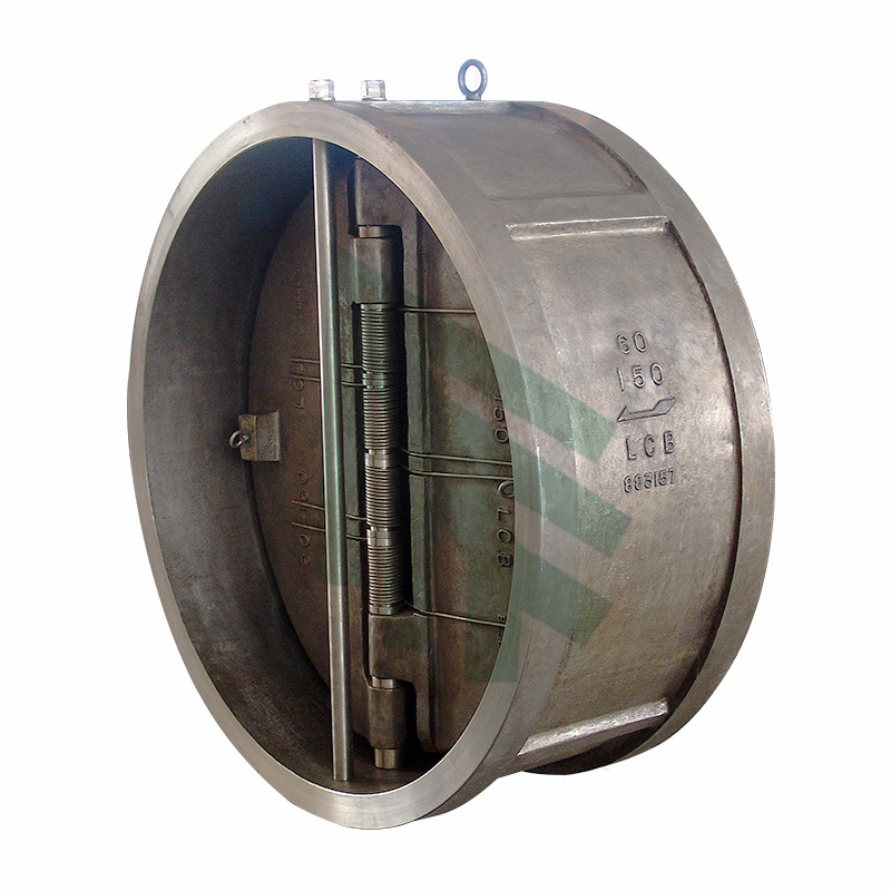 Ordinary Discount China Stainless Steel Non Return Spring Return Wafer Check Valve