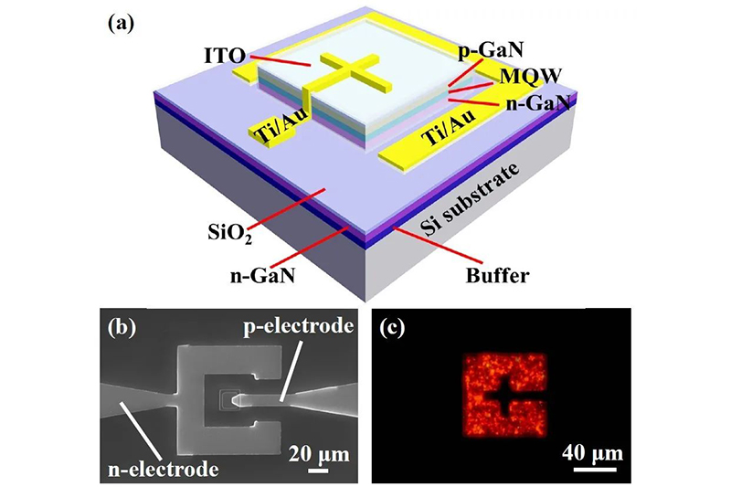 Fudan University cooperates with Lattice Power Semiconductor to report for the first time the research results of silicon substrate InGaN red light Micro-LED for visible light communication