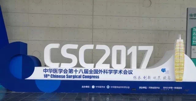 Sunstone cooperates with CSC2017 congress