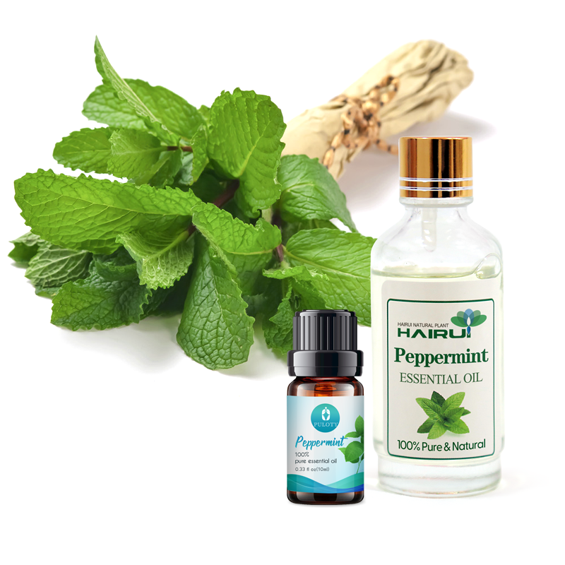 Repellent Peppermint Essential Oil in Agricultre