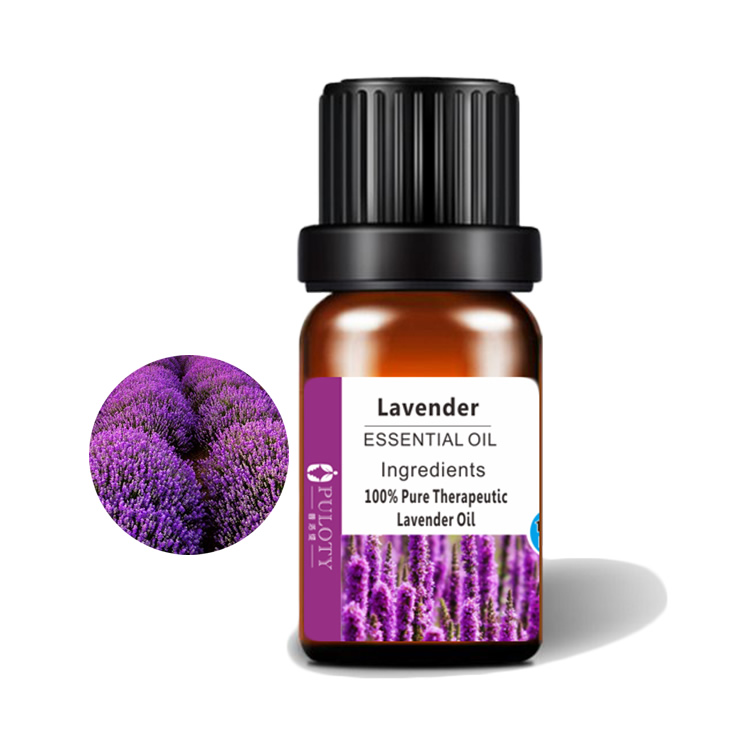 Minyak Esensial Lavender Kelas Aromaterapi